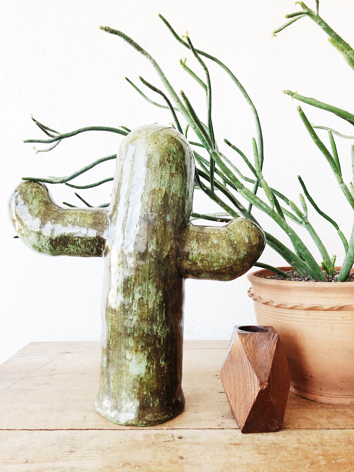 Handmade Ceramic Cactus