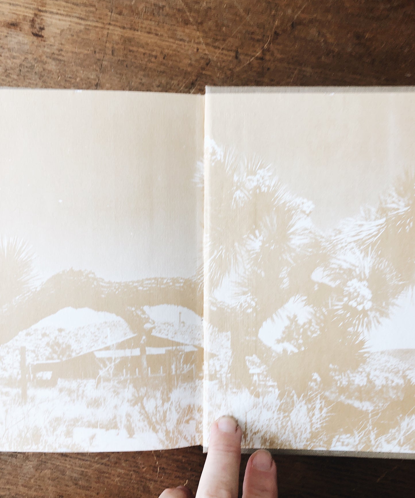 Vintage Poetry Book