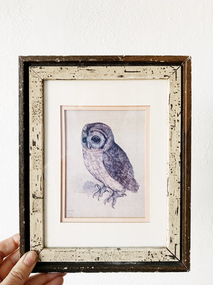 Vintage Framed Owl Print