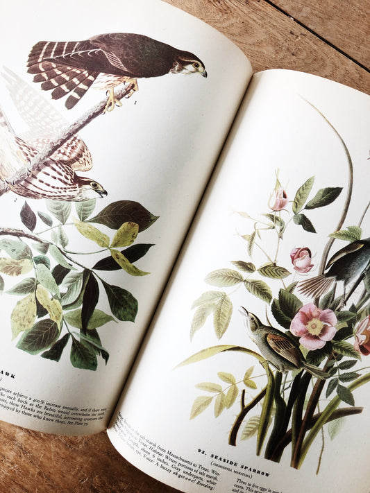 1940s The Birds of America by John Audubon