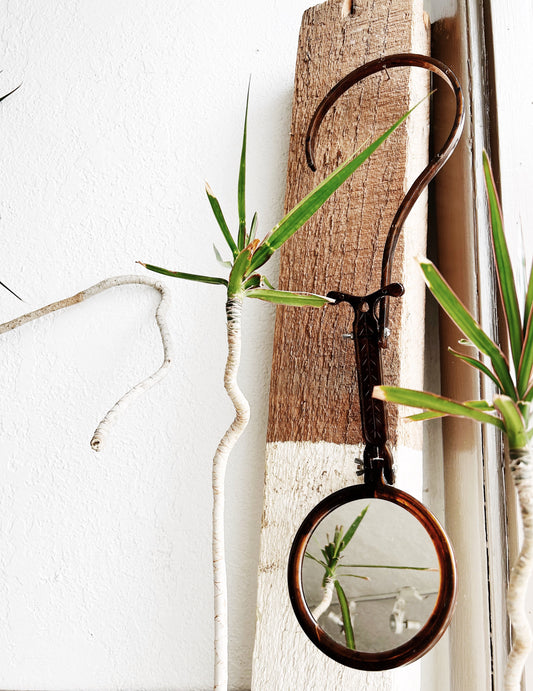Mid Century Adjustable Celluloid Mirror