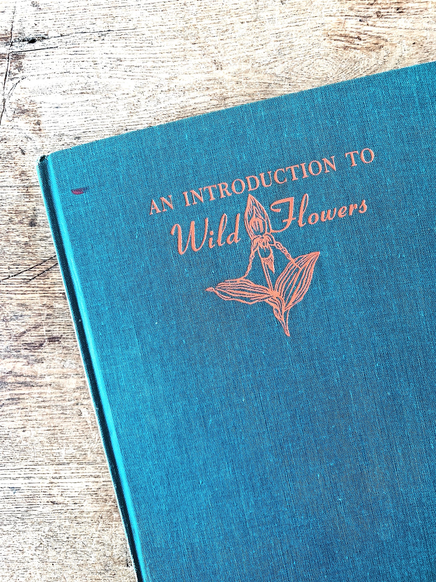 An Introduction to Wildflowers Hardcover 1952