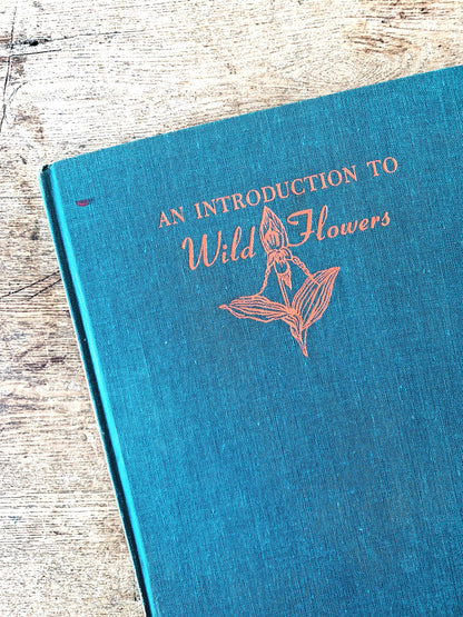 An Introduction to Wildflowers Hardcover 1952
