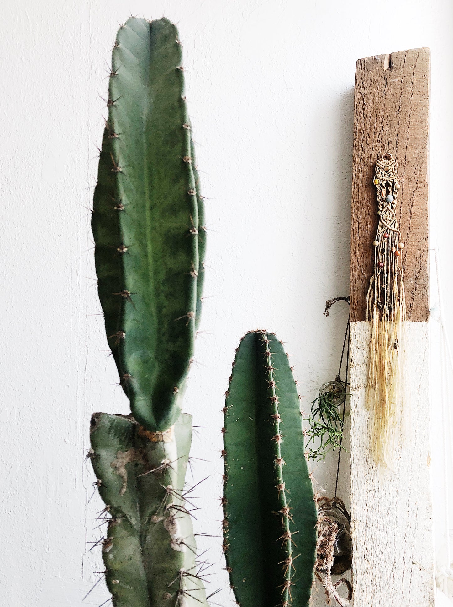 Vintage Beaded Macrame Weaving