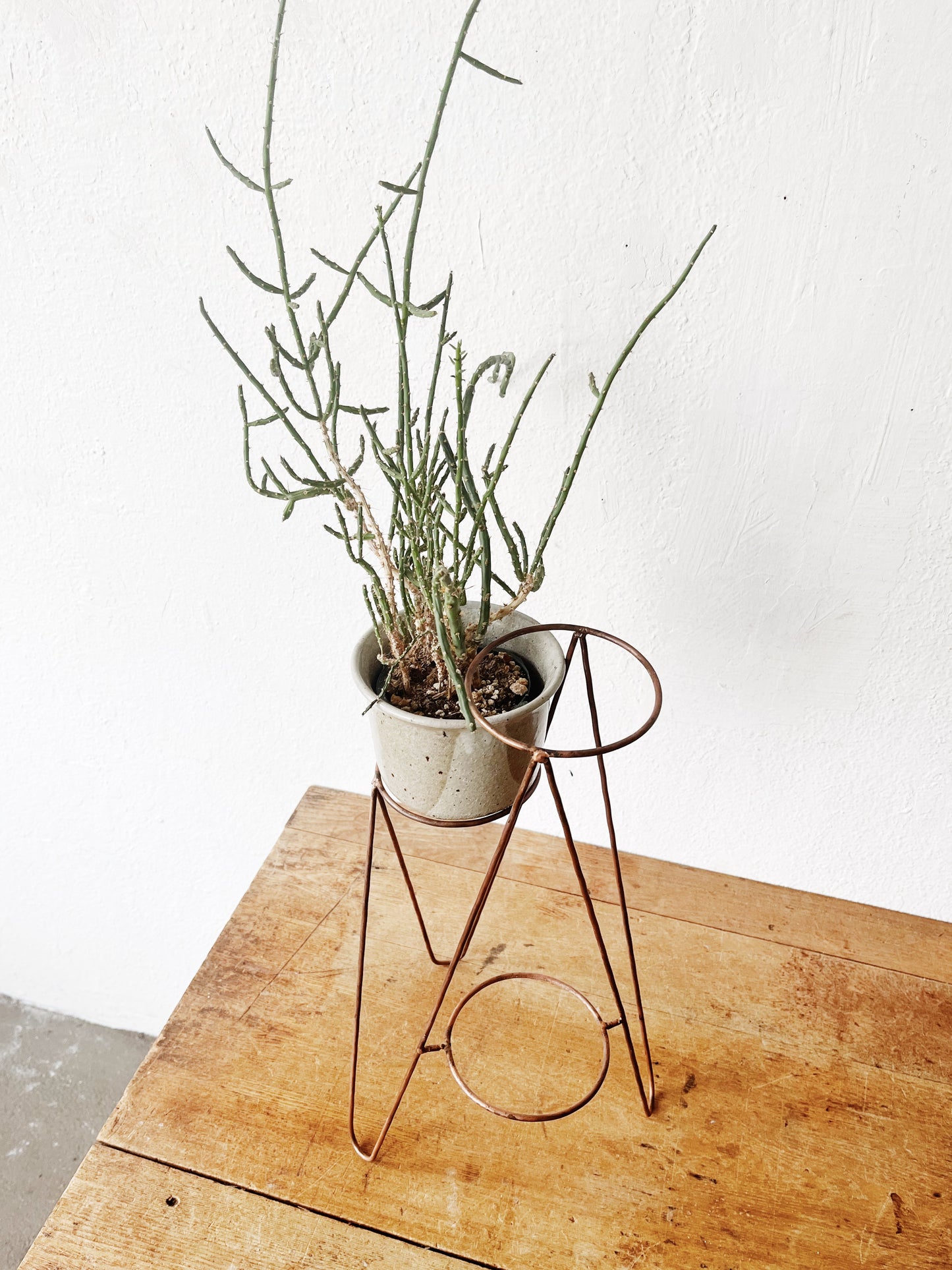 Mid Century Plant Stand