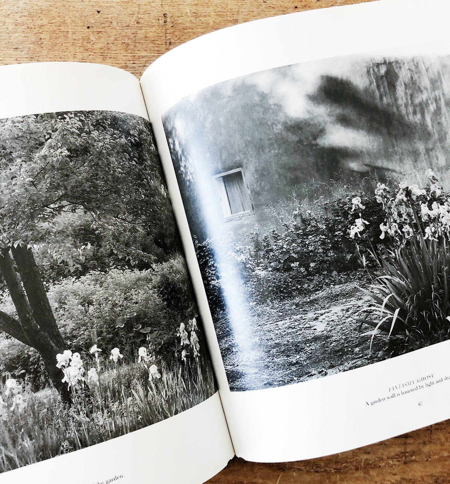 O’Keeffe at Abiquiu Vintage Hardcover