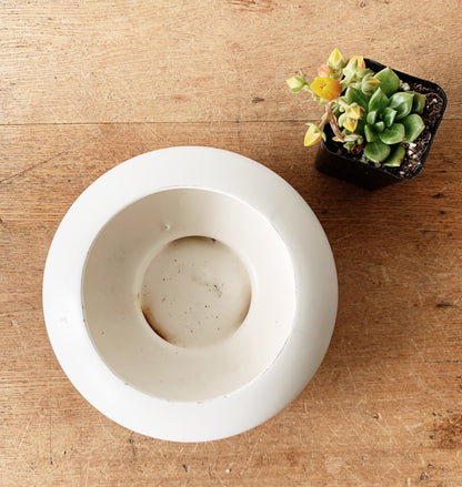 Rare Vintage Rubens Planter 1963