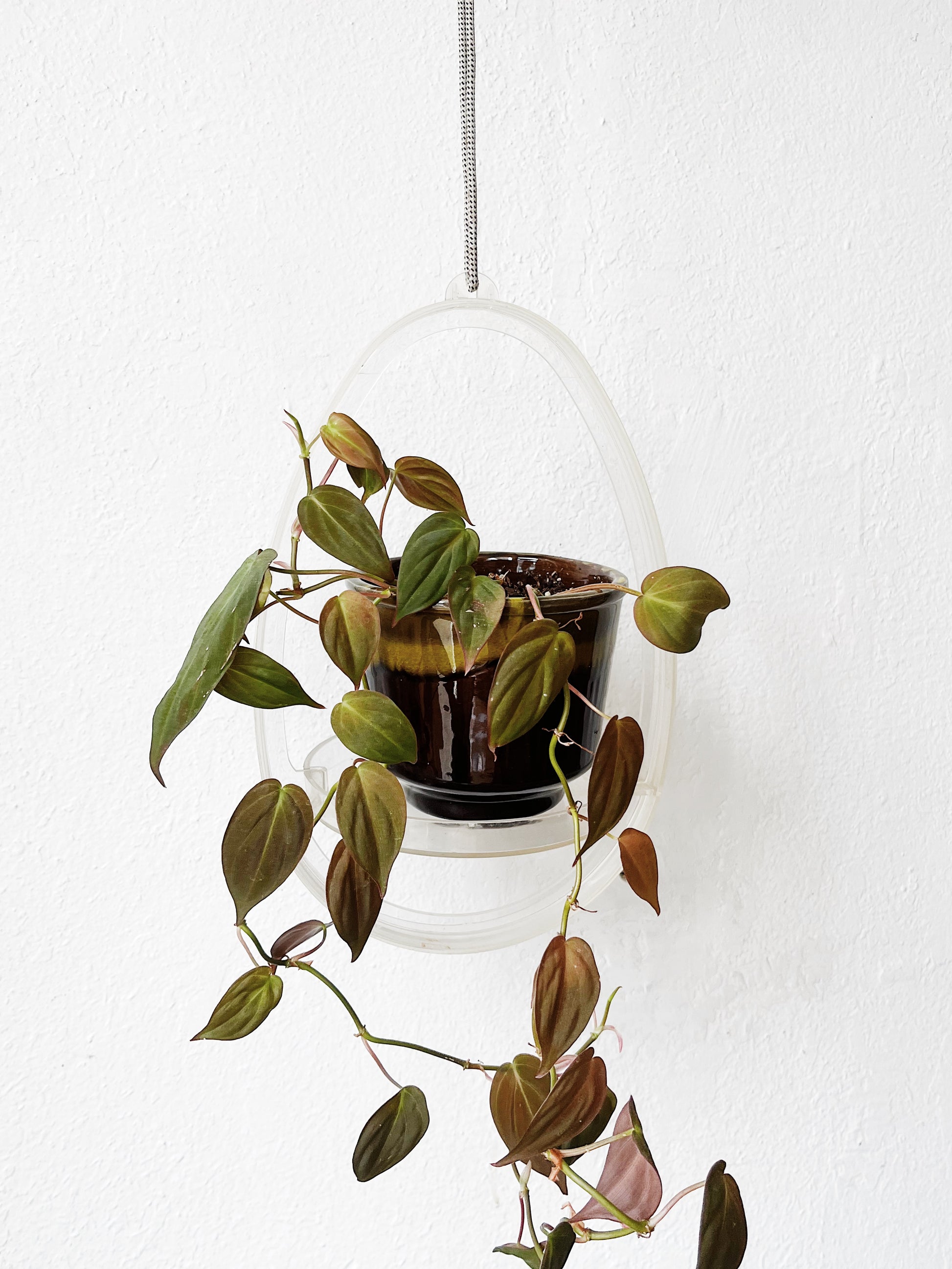 teardrop plant hanger Vintage Teardrop Plant Hanger