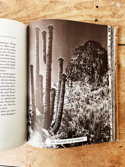 Vintage Natural History Book