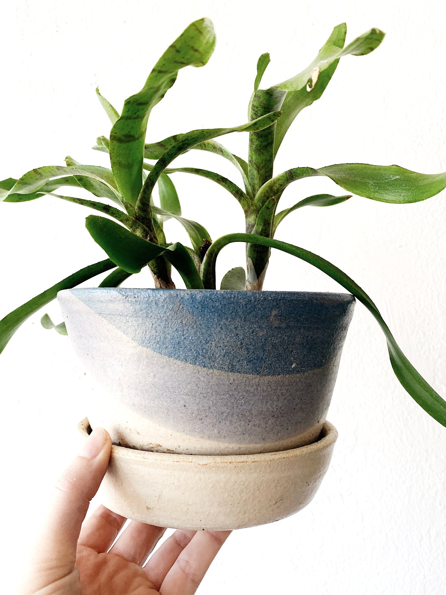 Ceramic Plant Pot with Integrated Tray