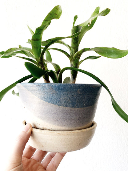 Ceramic Plant Pot with Integrated Tray