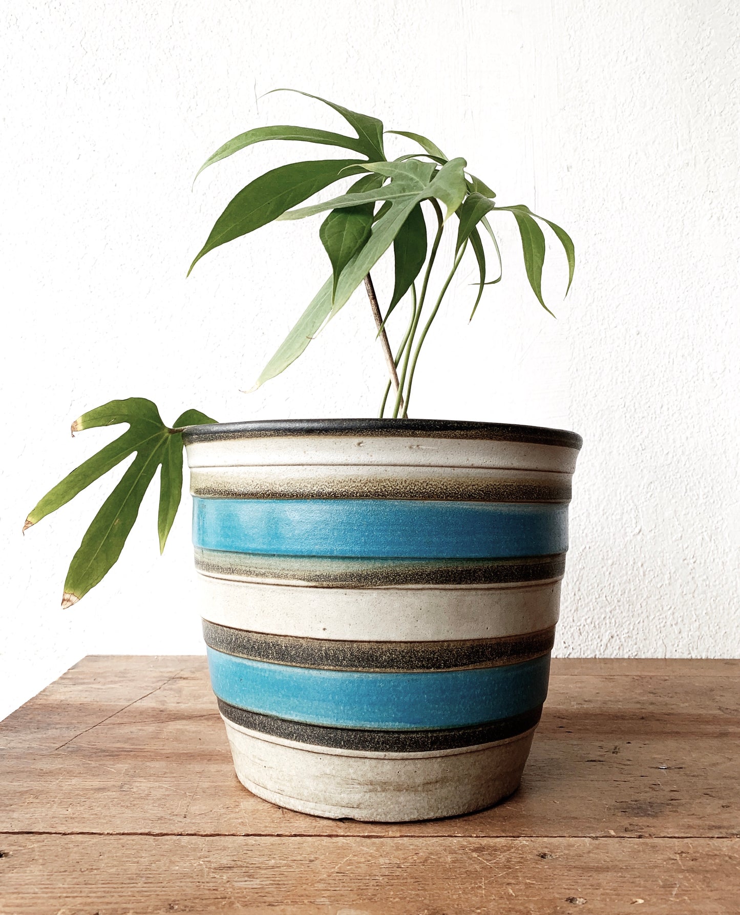 Mid Century Ceramic Plant Pot