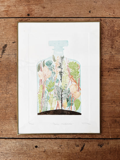 Original Framed Etching