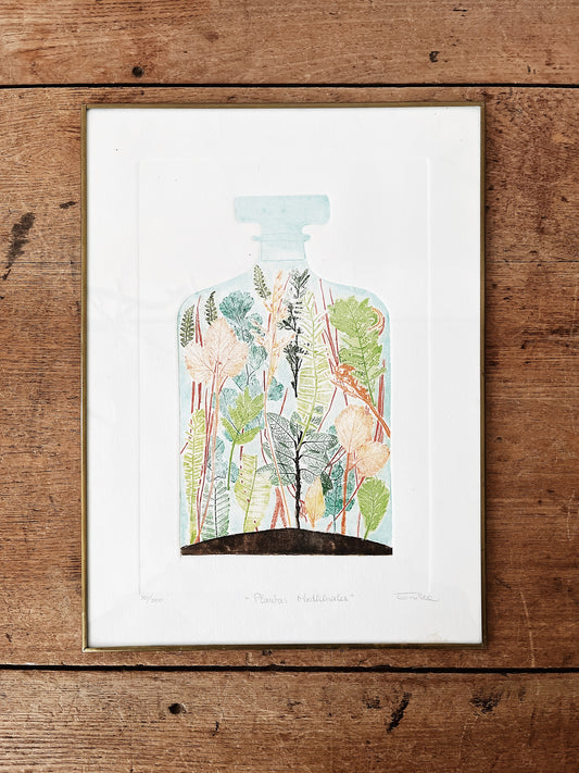 Original Framed Etching