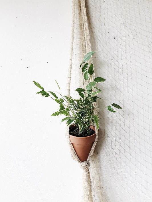 Vintage Japanese Fishing Net Hanger