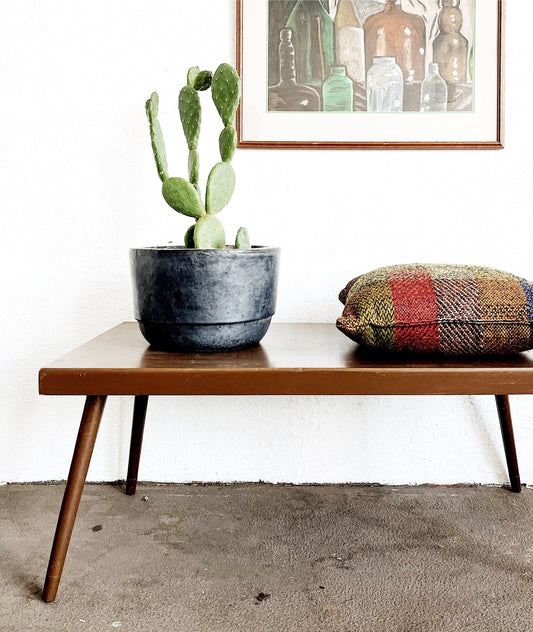 Mid Century Coffee Table or Bench