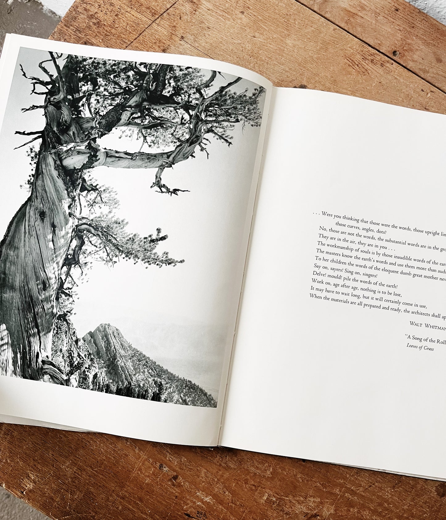 Vintage Words of the Earth Book