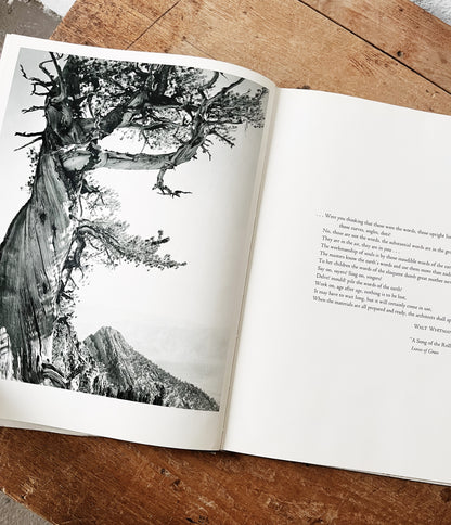 Vintage Words of the Earth Book