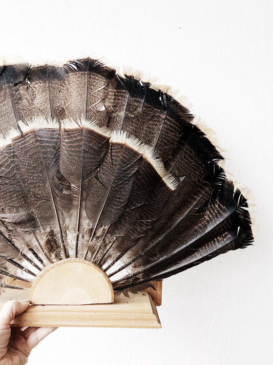 Vintage Feather Art Piece