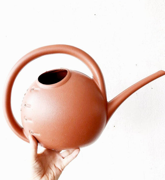 Plastic Watering Can