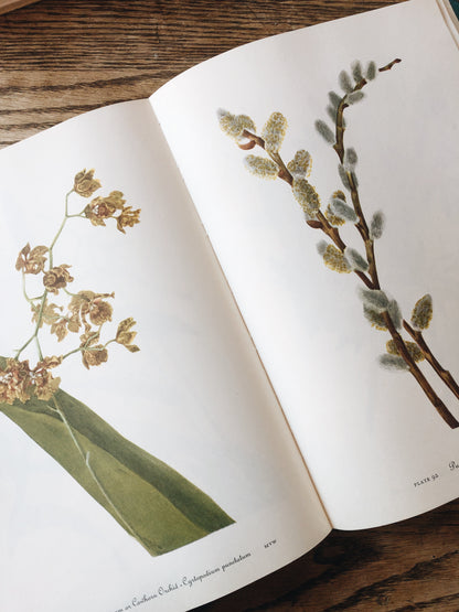 Vintage Wildflowers of America Book