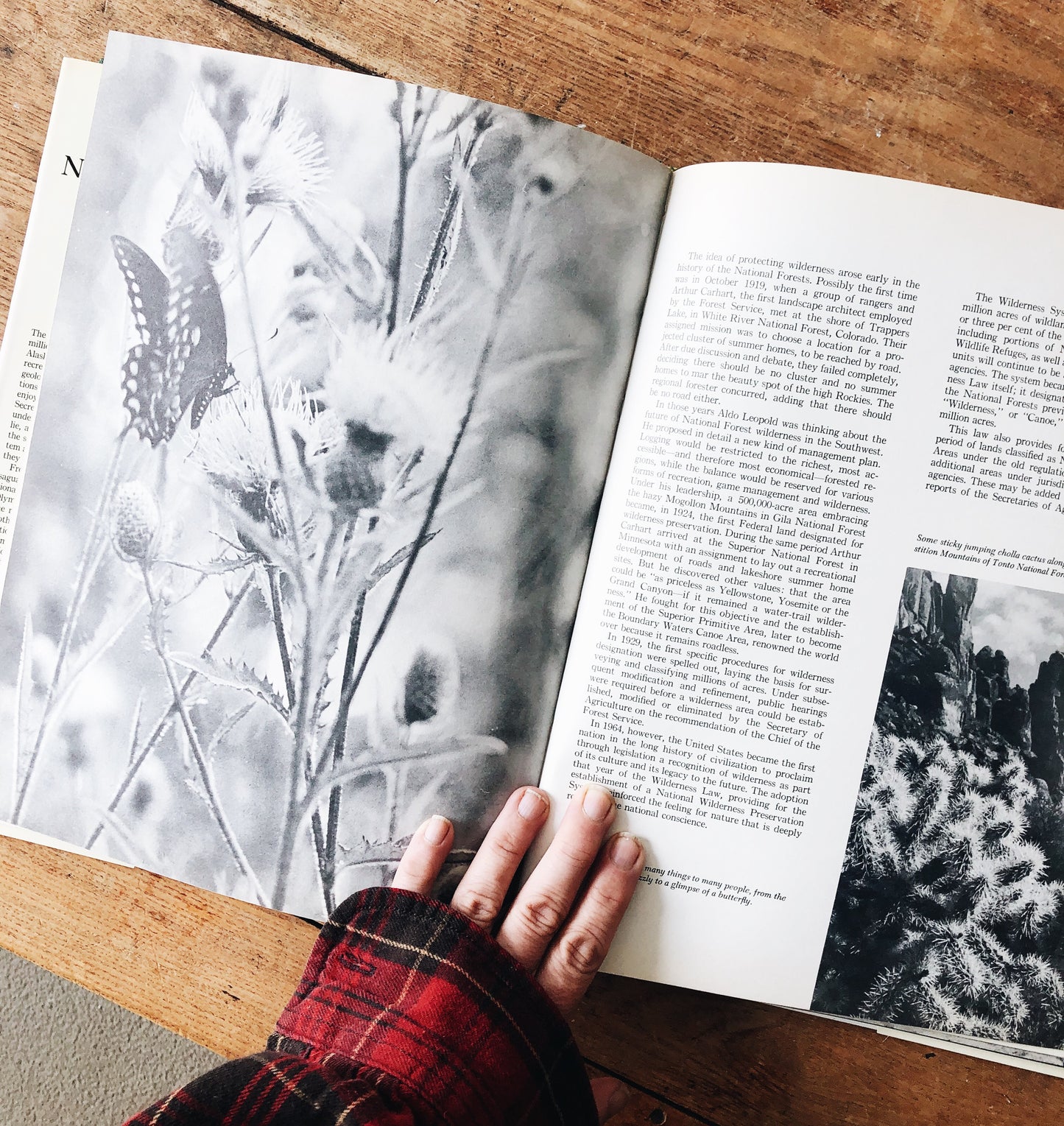 Vintage National Forests of America Book