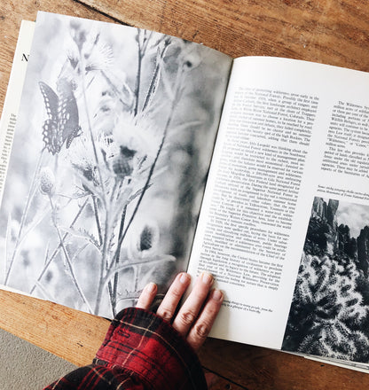 Vintage National Forests of America Book