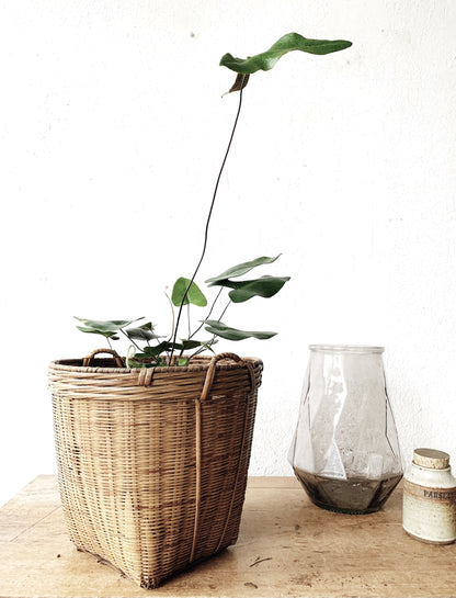 Vintage Basket