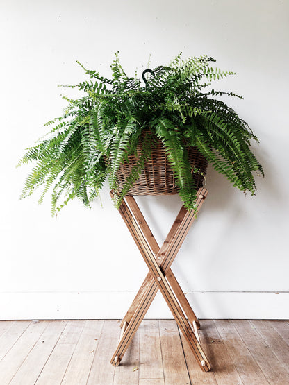 Vintage Laundry Basket and Stand