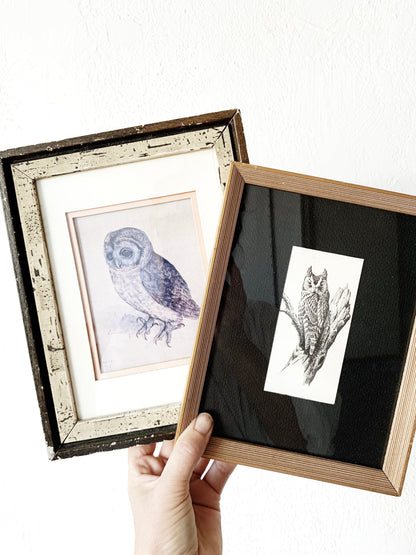 Vintage Framed Owl Print