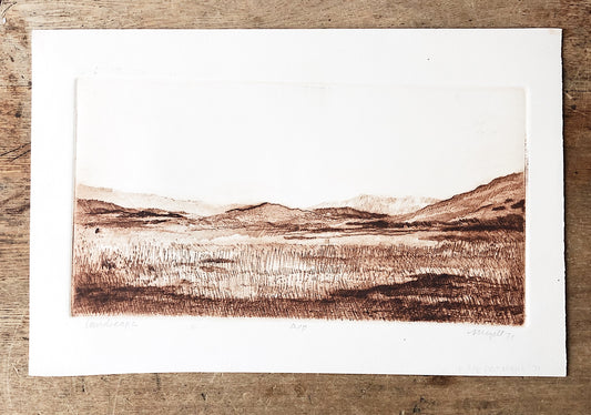 Vintage Original High Desert Etching