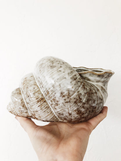 Vintage Ceramic Shell Planter