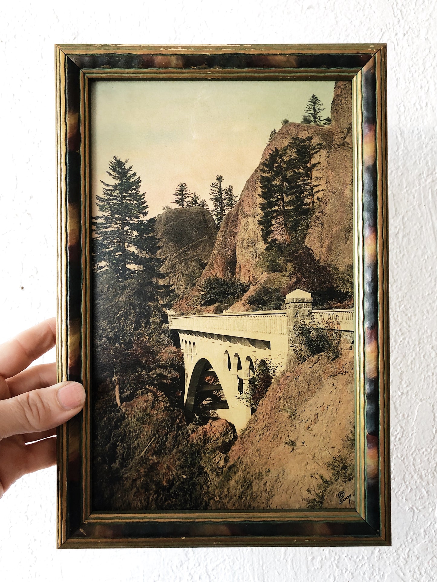 Antique Hand Colored Photograph