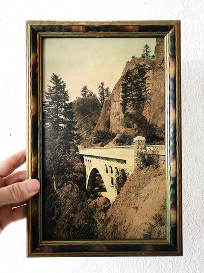 Antique Hand Colored Photograph
