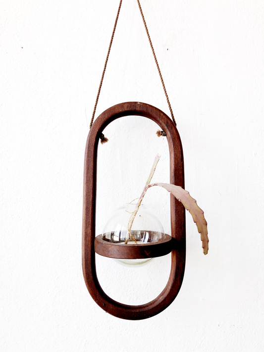 Vintage Wood Hanging Propagation Planter