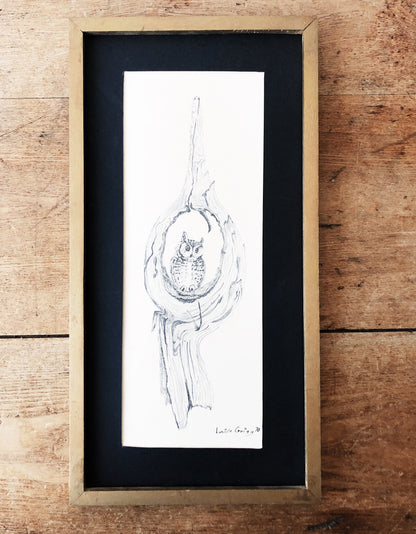 Original Graphite Drawing