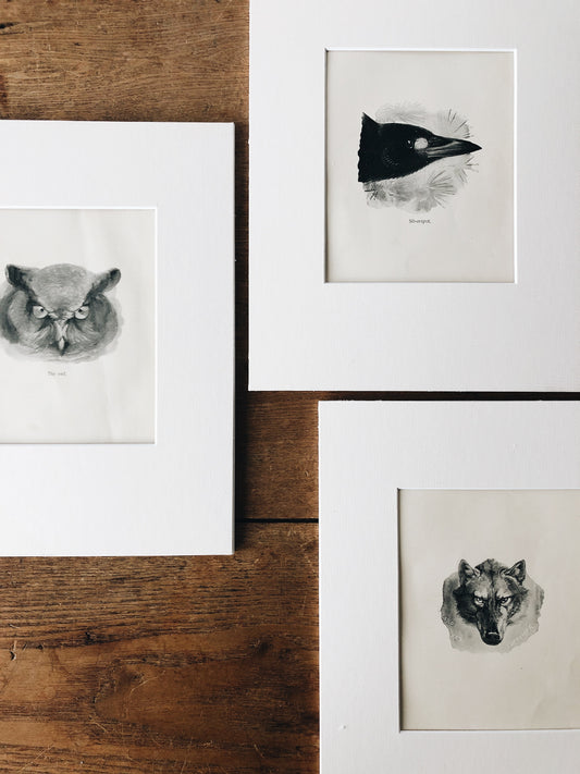 Vintage 1940s Animal Prints