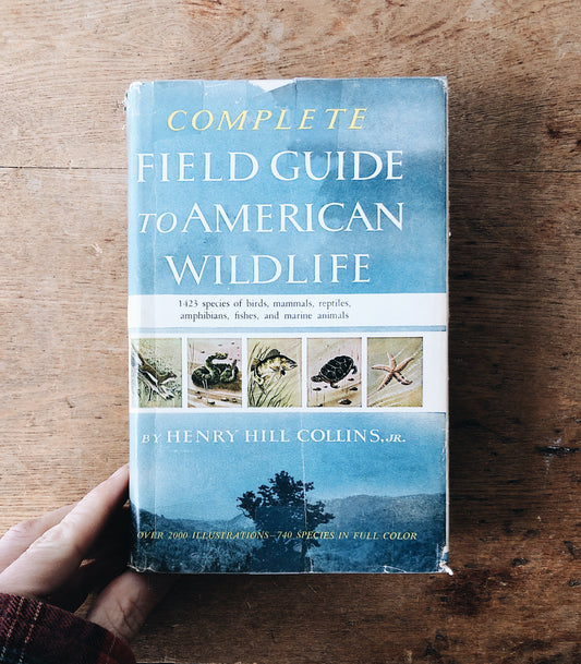 Vintage 1950s Wildlife Guide