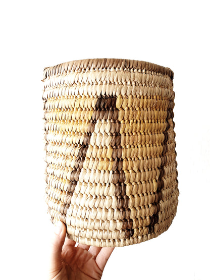 Graphic Coil Plant Basket