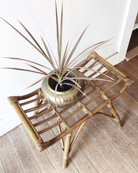 Albini Style Bamboo Bench