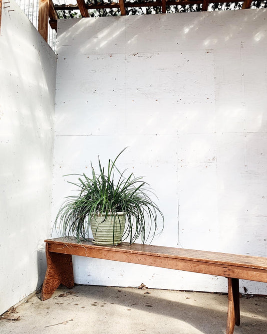 Extra Long Rustic Wood Bench