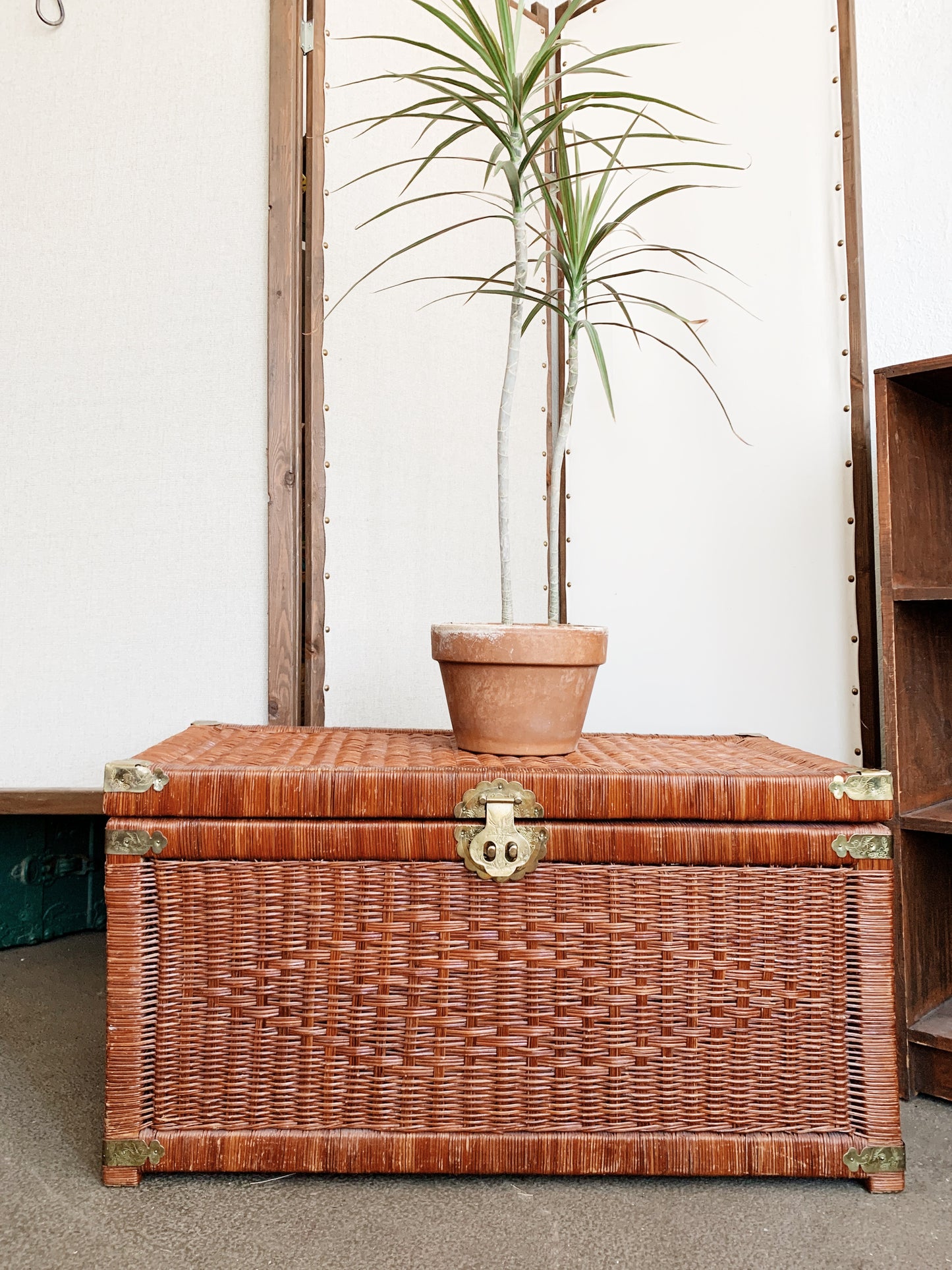 Vintage Trunk