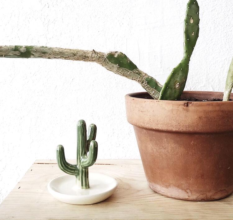 Cactus Ring Holder
