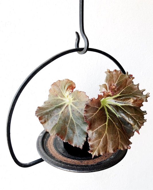 Vintage Iron Hanging Planter and Hook