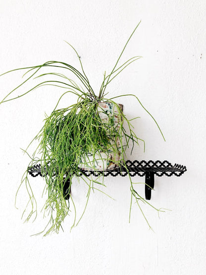 Vintage Metal Mesh Shelf