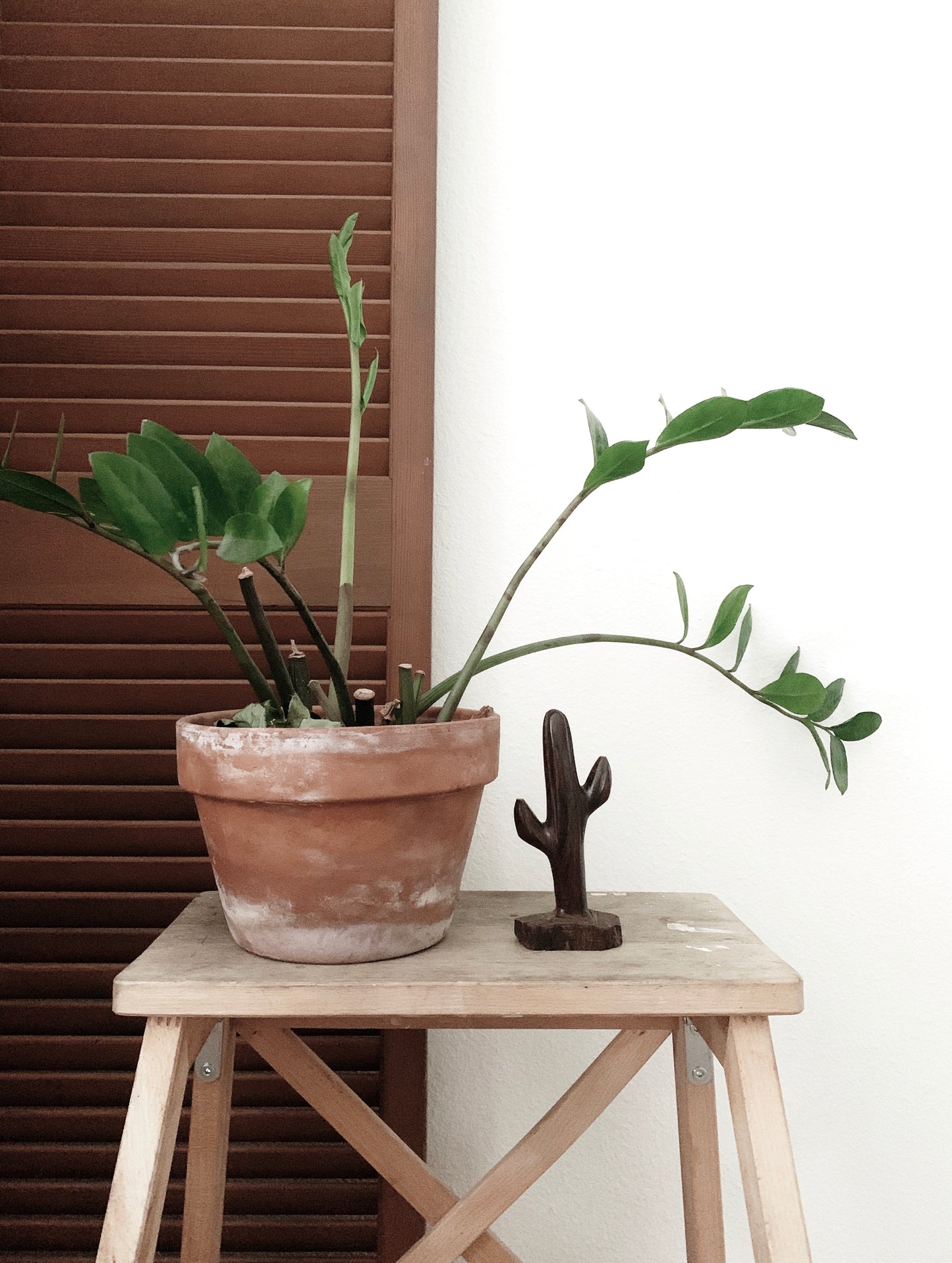 Carved Ironwood Cactus