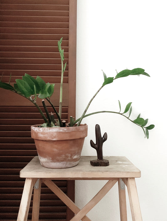 Carved Ironwood Cactus