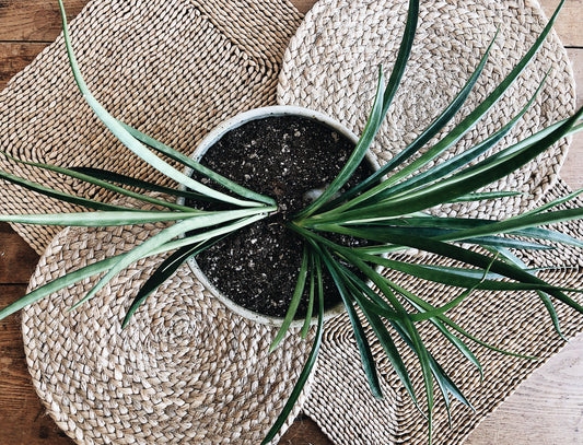 Vintage Natural Fiber Mats