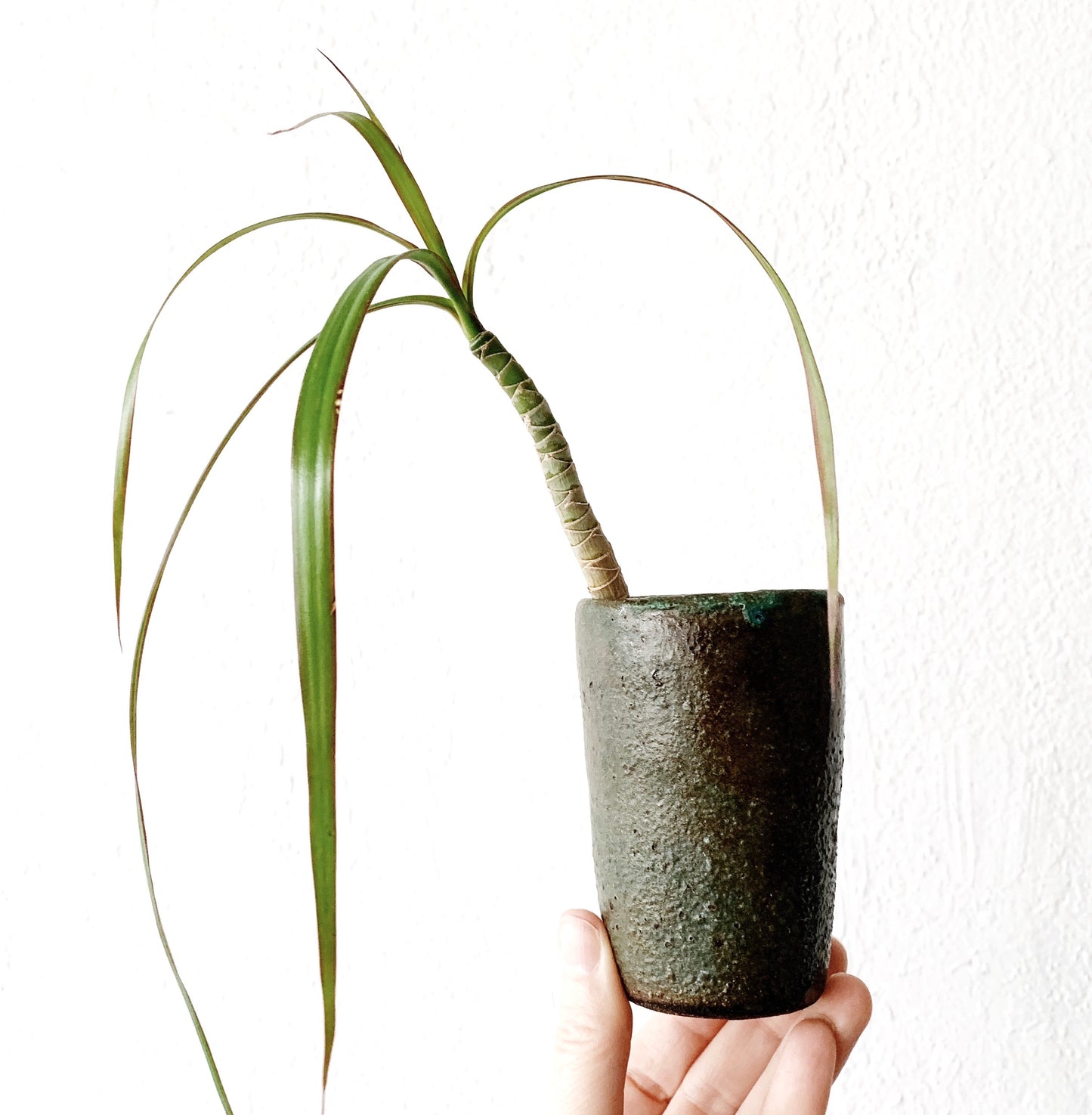 Handmade Pottery Tumbler/Vase