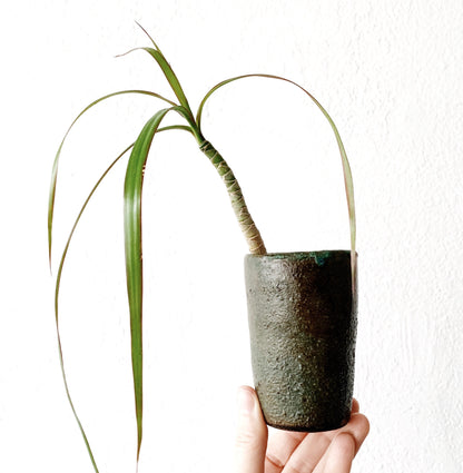 Handmade Pottery Tumbler/Vase